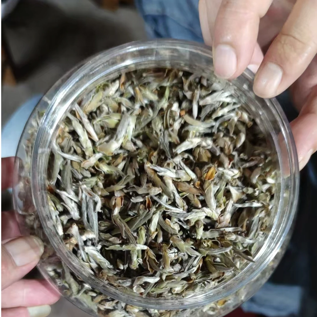 6月23日 1公斤 25年白茶 芽胞 散茶 Y2155