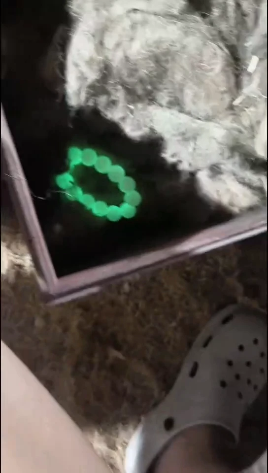 香榧木一个发光串