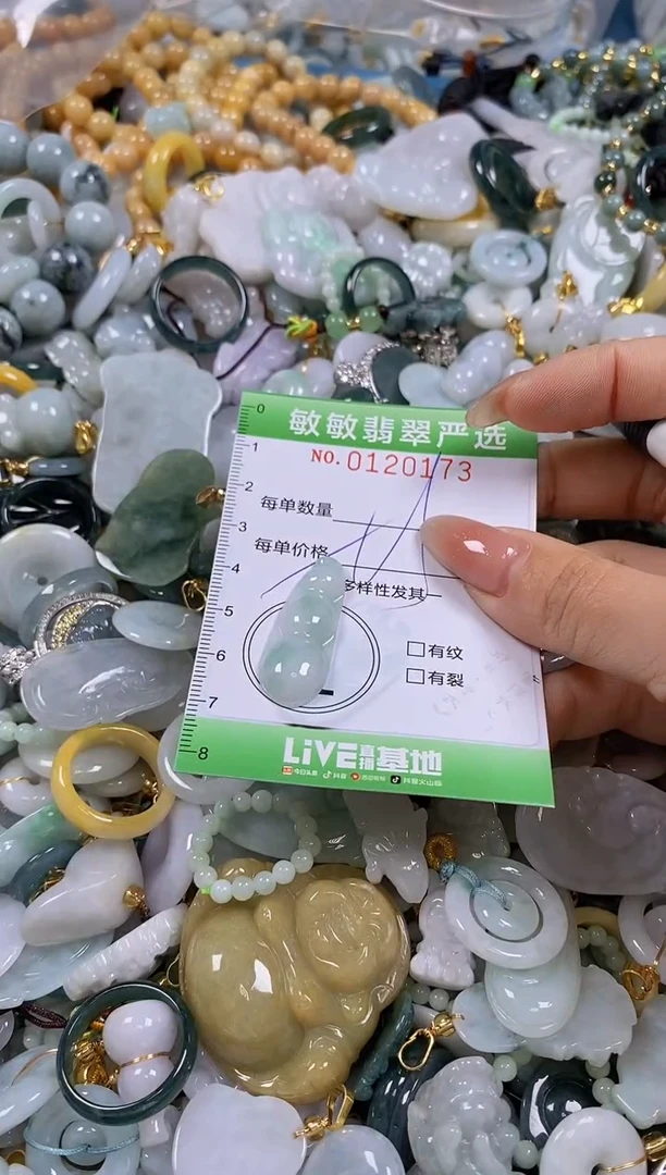 【闪购商品】翡翠颈饰未镶嵌闪购0120173多样性发其一