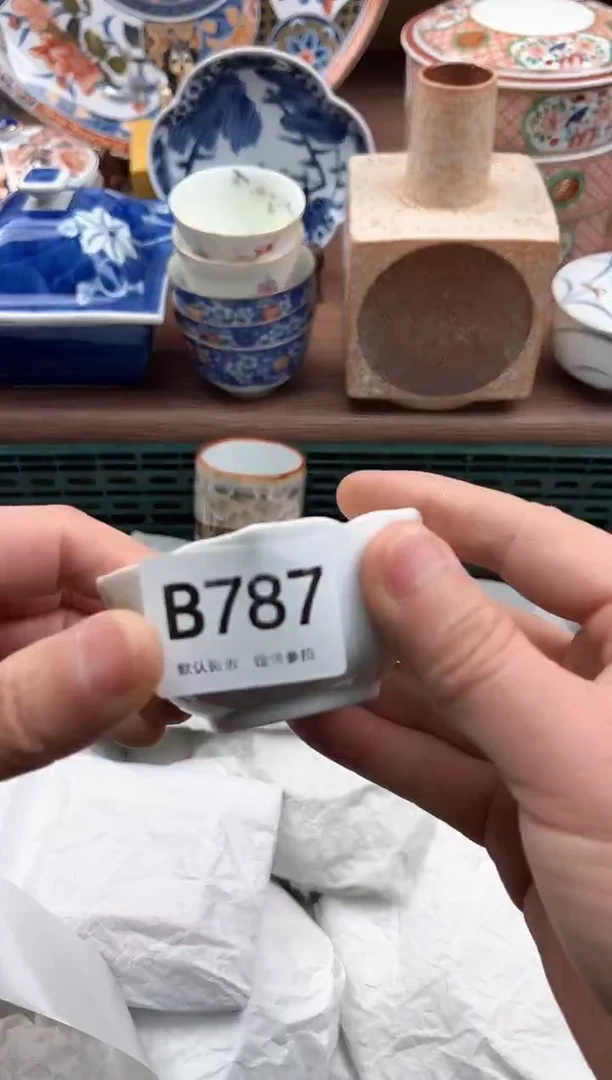 【闪购商品】瓷片787