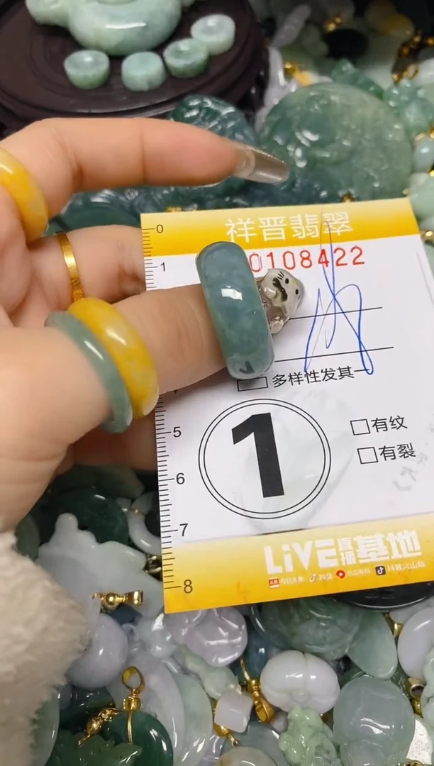 【闪购商品】翡翠颈饰未镶嵌闪购0108422