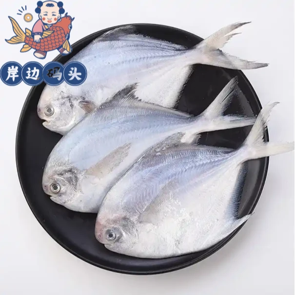 海捕银鲳鱼拍三送一（每斤6条）顺丰包邮