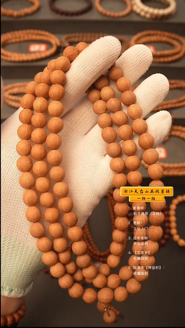 吊坠五线菩提脖挂