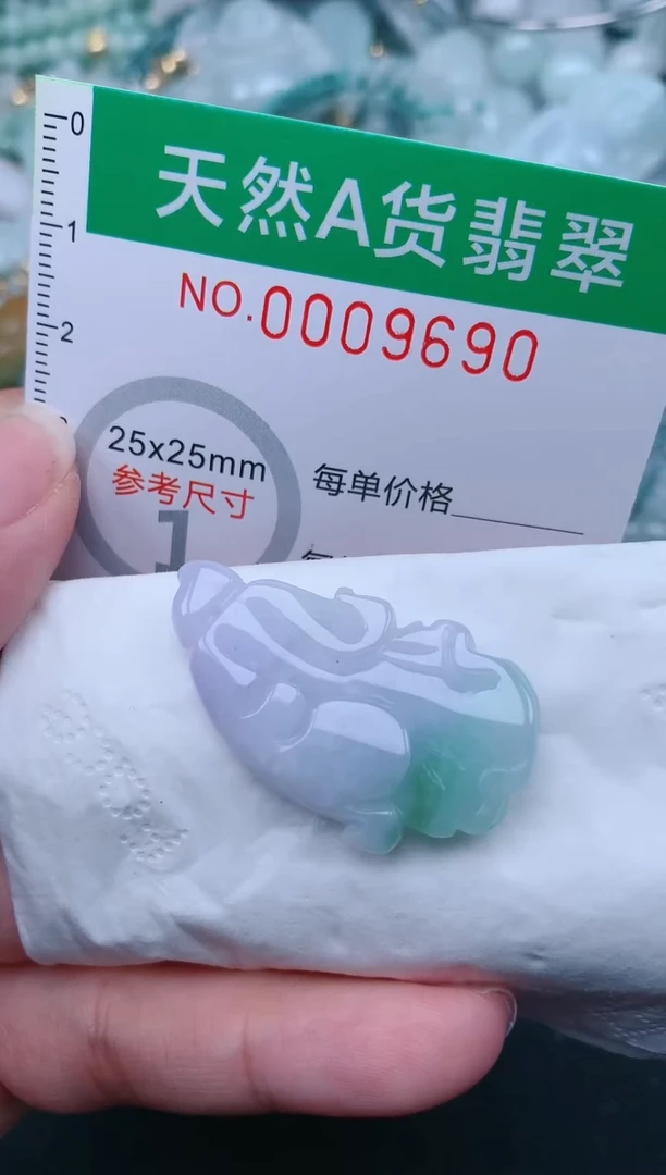 翡翠未镶嵌颈饰.0009690