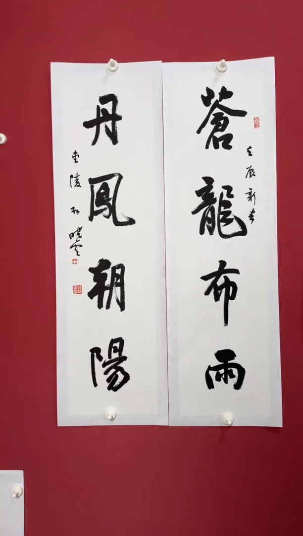 书法苍龙布雨书法111