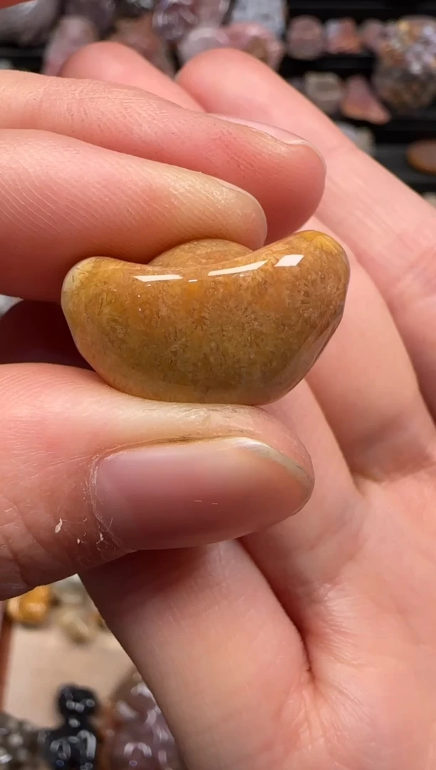 【闪购商品】硅化珊瑚（珊瑚玉）颈饰未镶嵌086