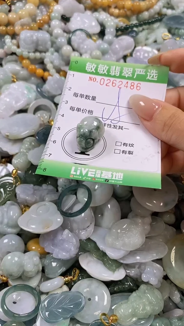 翡翠未镶嵌颈饰闪购0262486