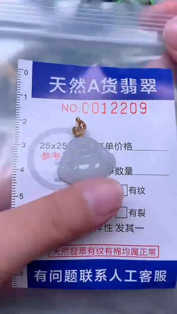 吊坠(赠链)未镶嵌翡翠1