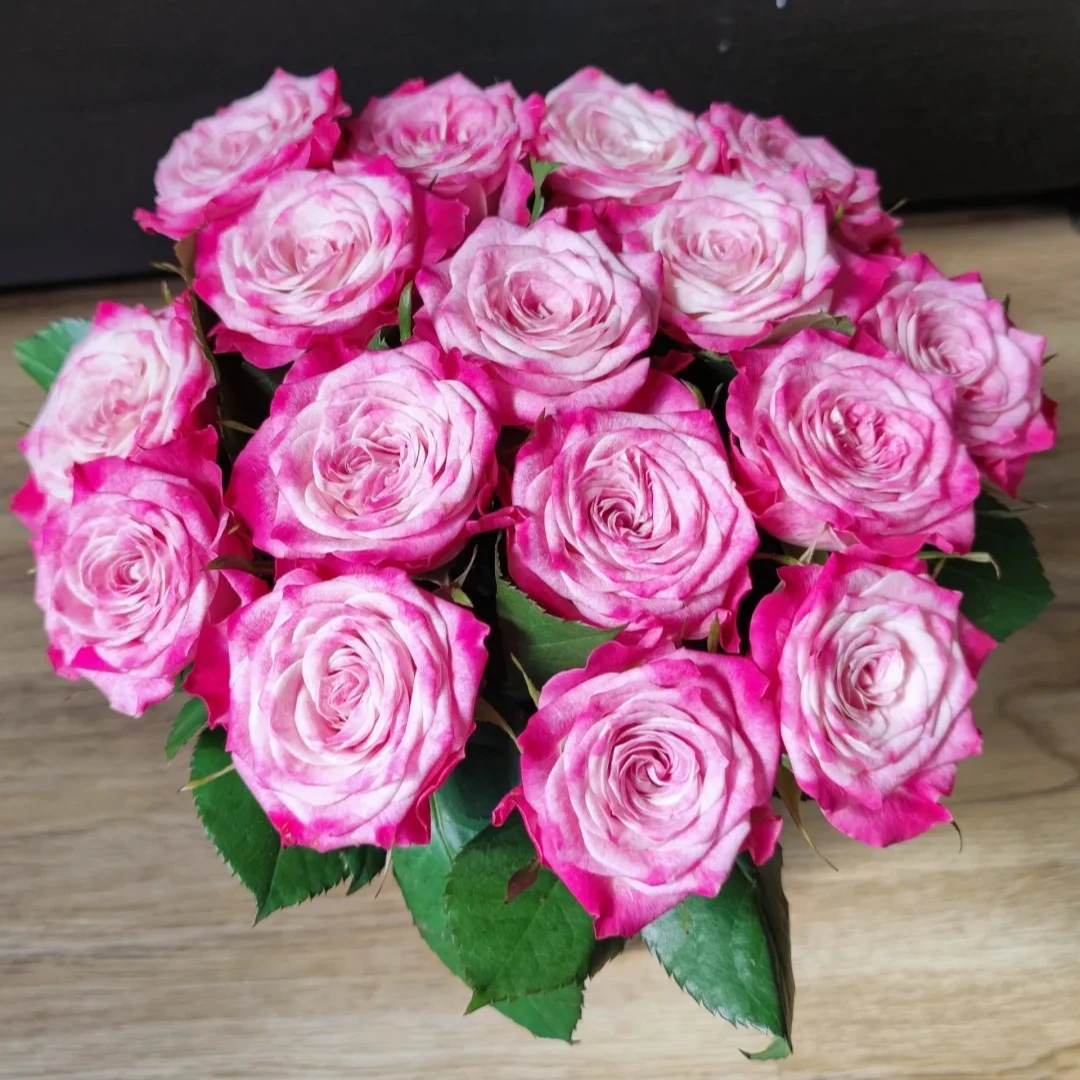 【云南鲜花】单头（粉色经典）一单普通快递，两单顺丰冷链