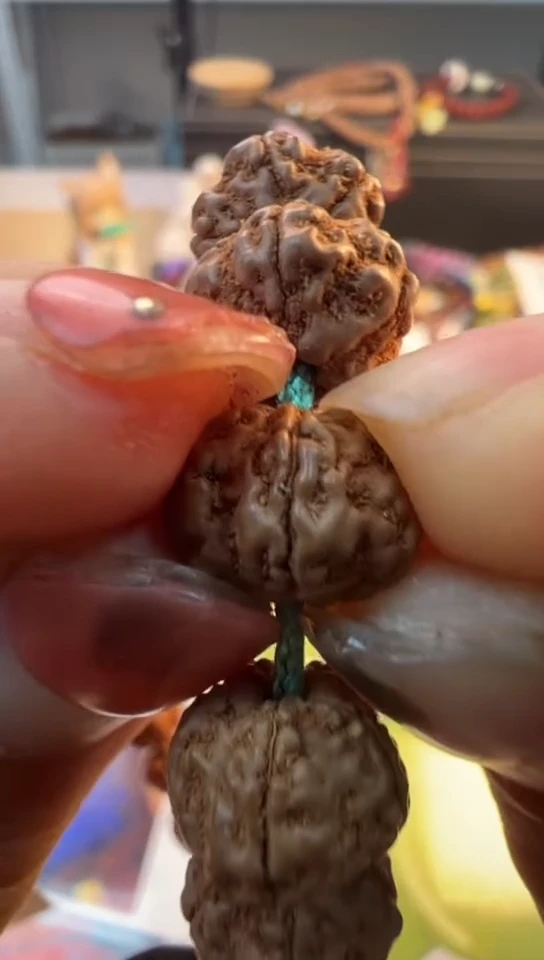 【闪购商品】金刚菩提手串311古树梅花高货