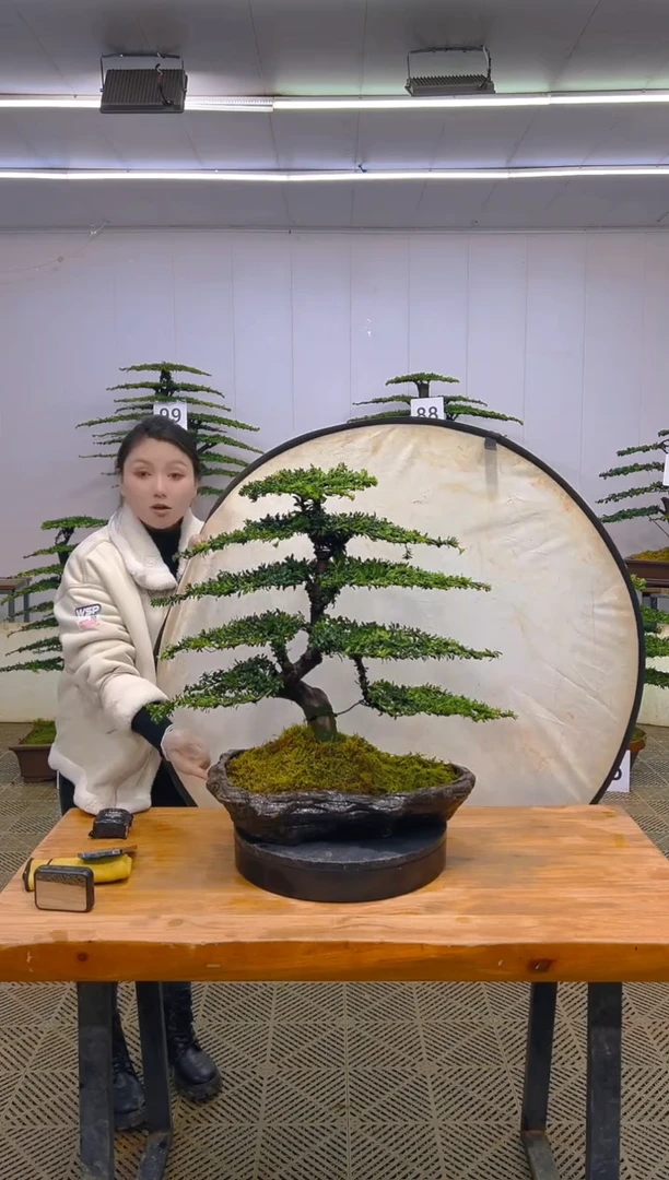 无花朵一物一拍一物一拍