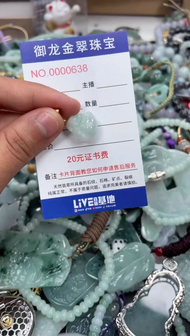 翡翠未镶嵌颈饰018