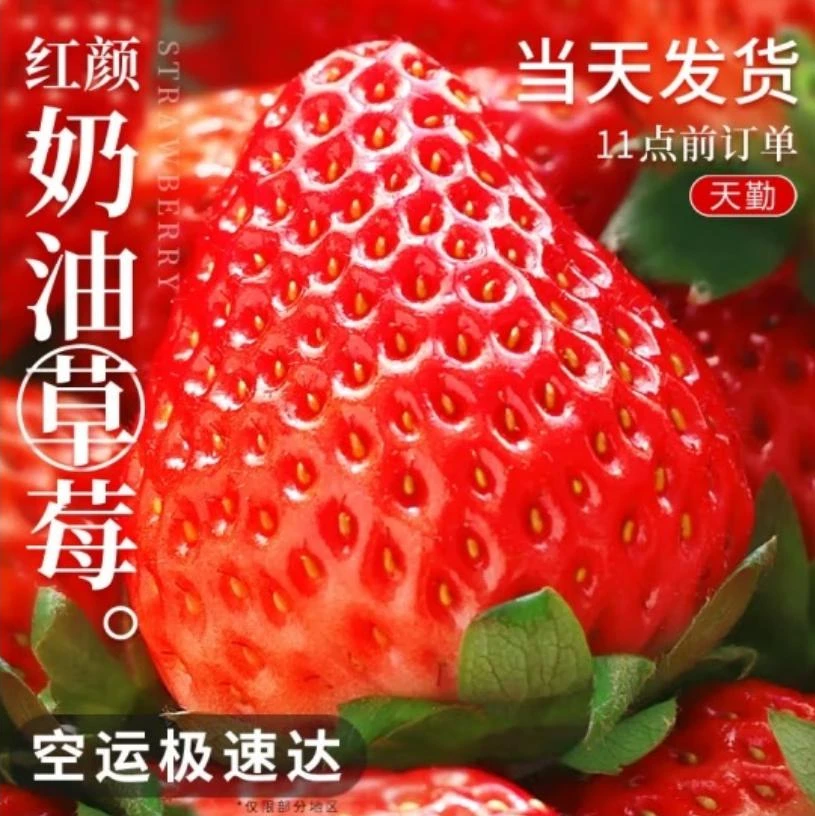 长丰草莓红颜奶油草莓新鲜水果现摘先发非丹东现摘红颜礼盒装