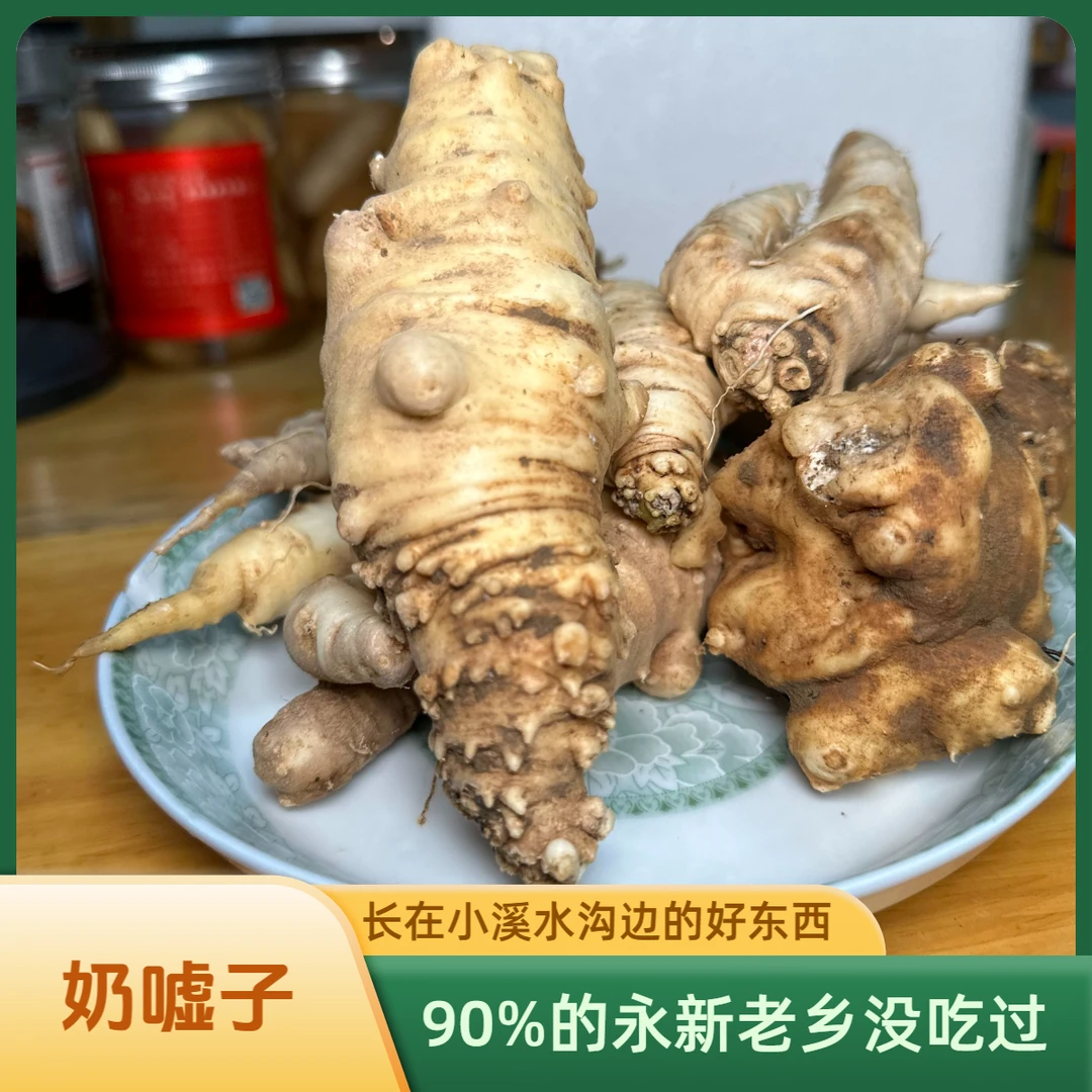【顺丰包邮】永新奶嘘子野生奶薯天麻洋姜户外老乡挖到的野菜乡巴佬