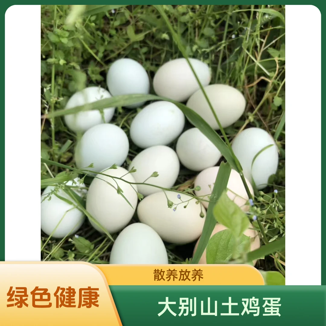 大别山散养土鸡蛋初生蛋50枚装