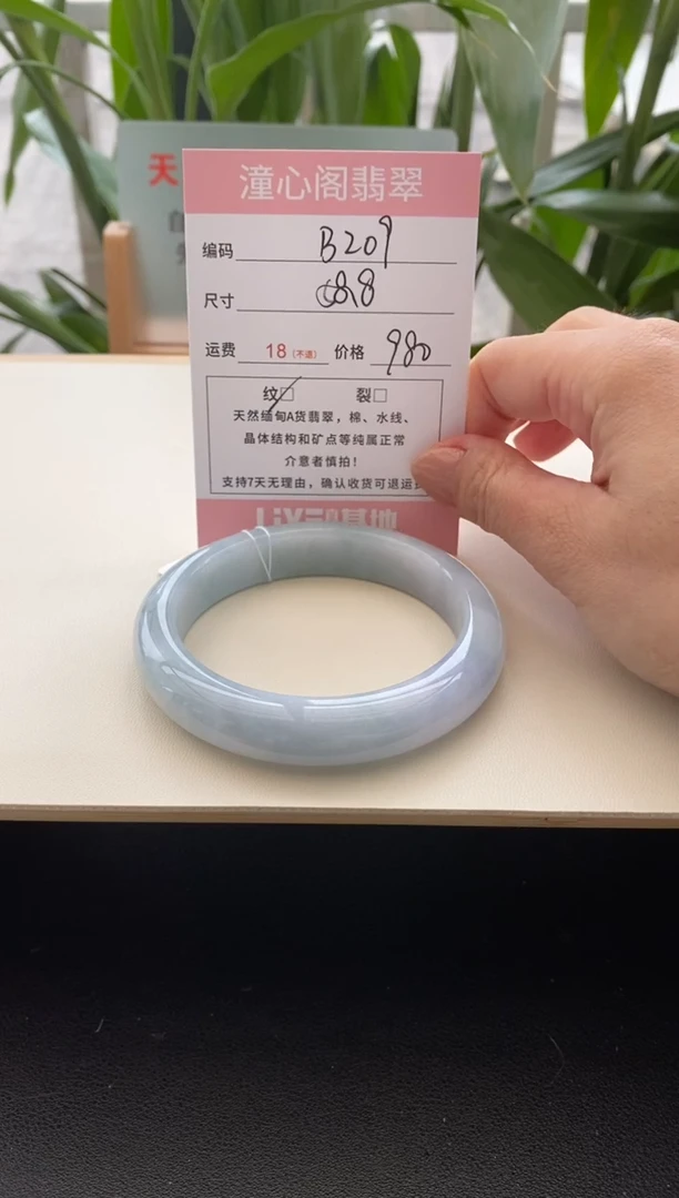 未镶嵌手镯翡翠s**a58.8圈口编码b209