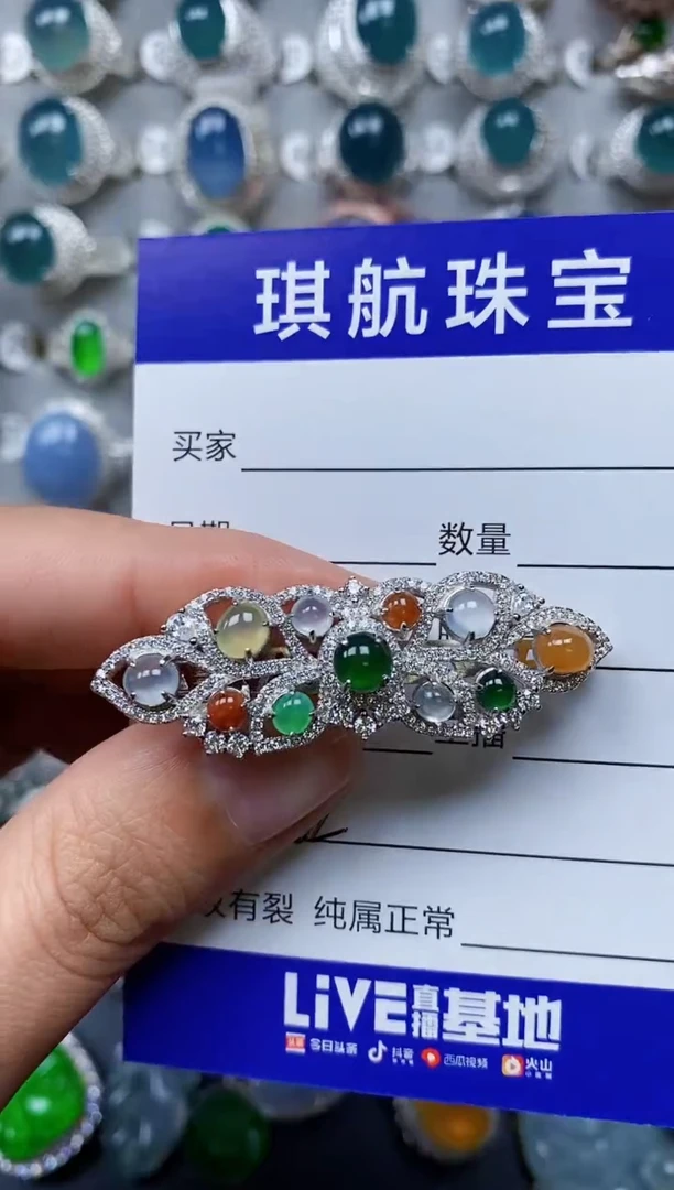 【闪购商品】翡翠颈饰银S925镶嵌0222