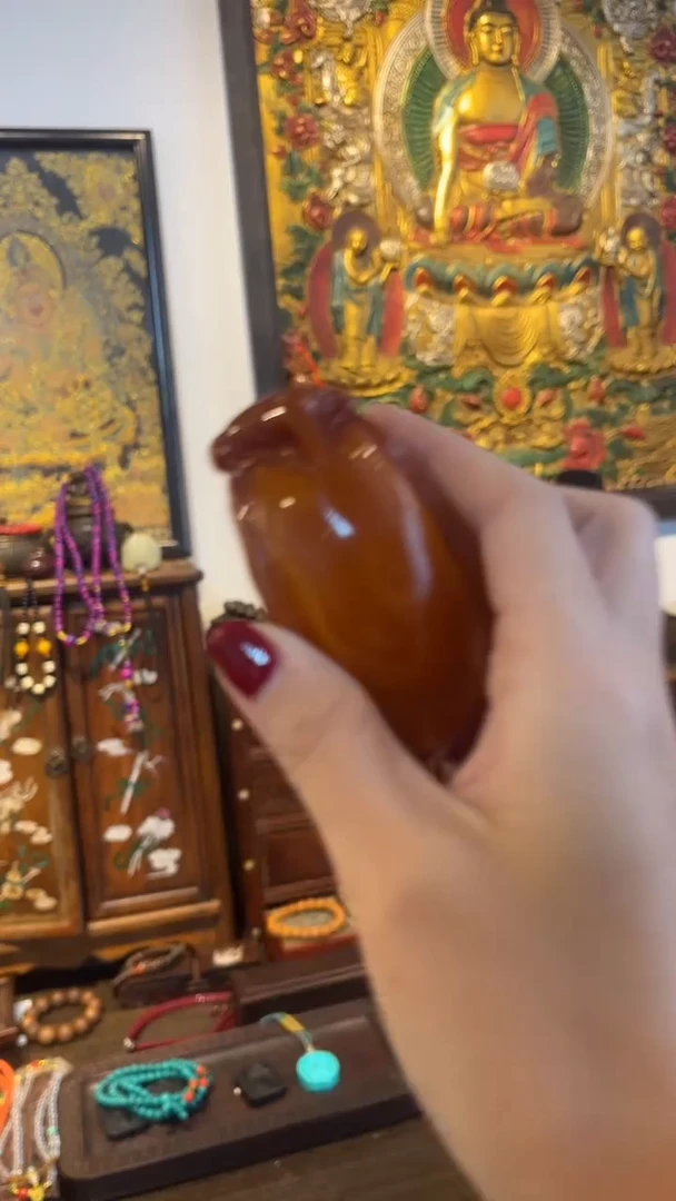 陶开开开-----蝉