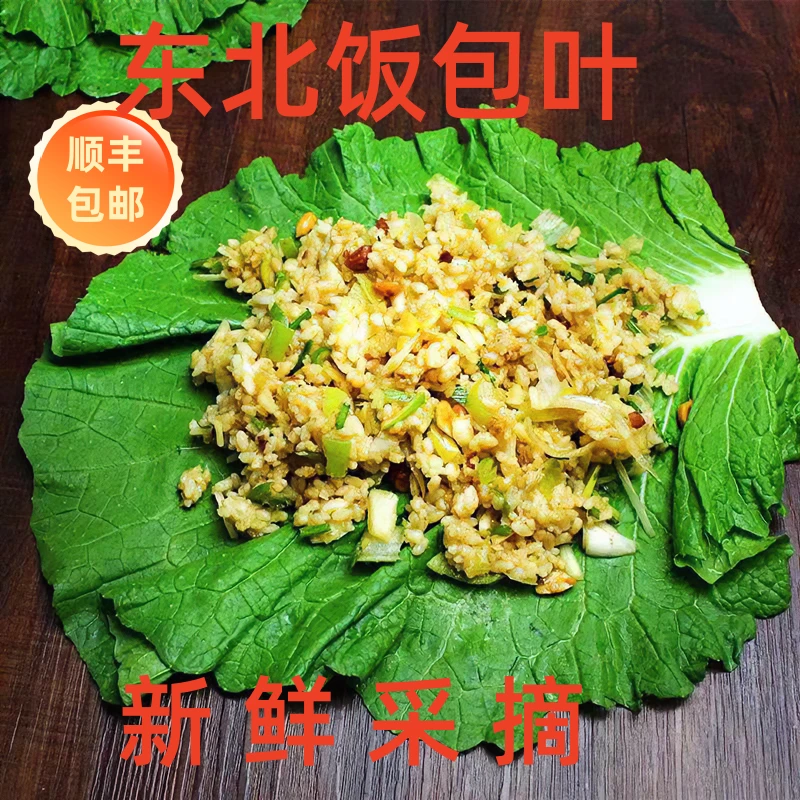 东北饭包叶农家蔬菜可包饭经济实惠饭包叶翠绿新鲜白菜叶顺丰包邮