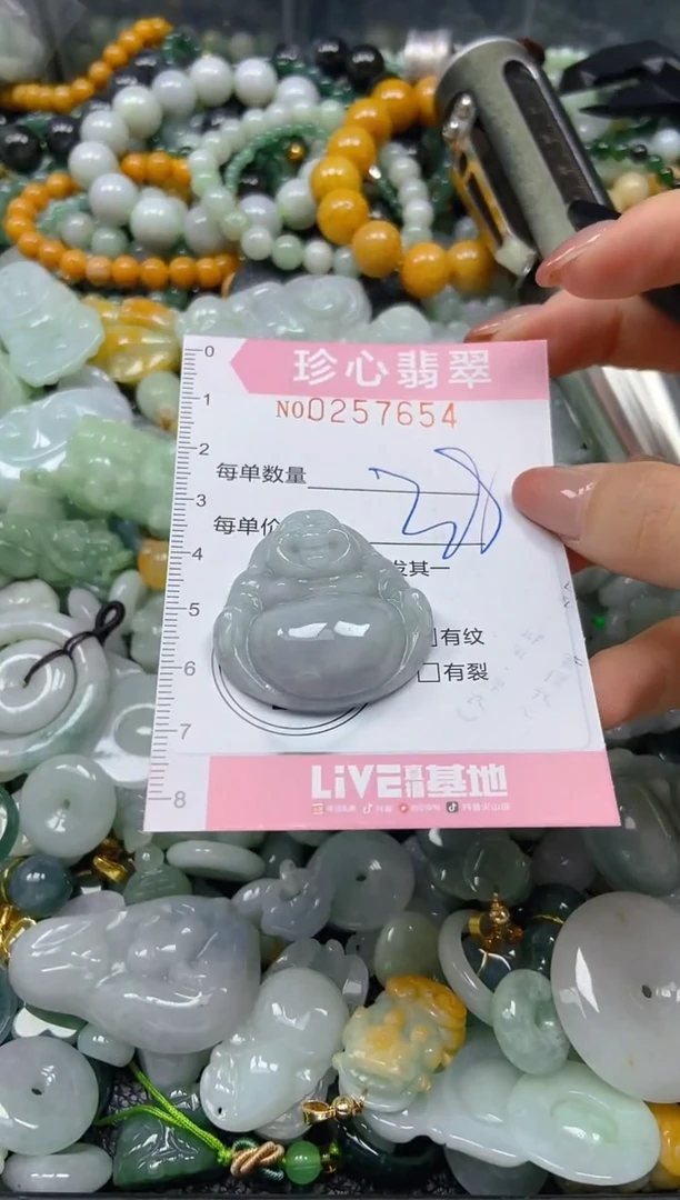 翡翠未镶嵌颈饰闪购0257654