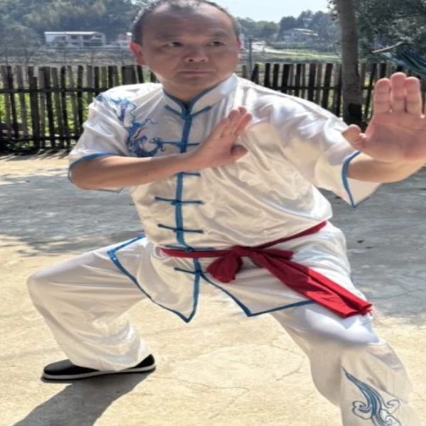 龙门六肘内力学习教程