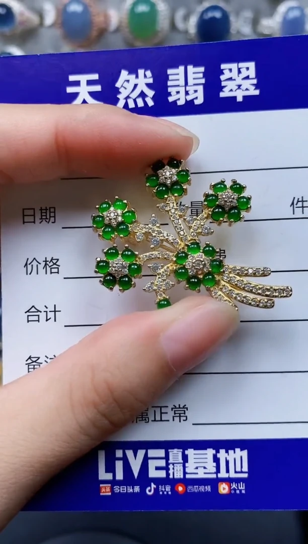 翡翠银S925镶嵌颈饰110
