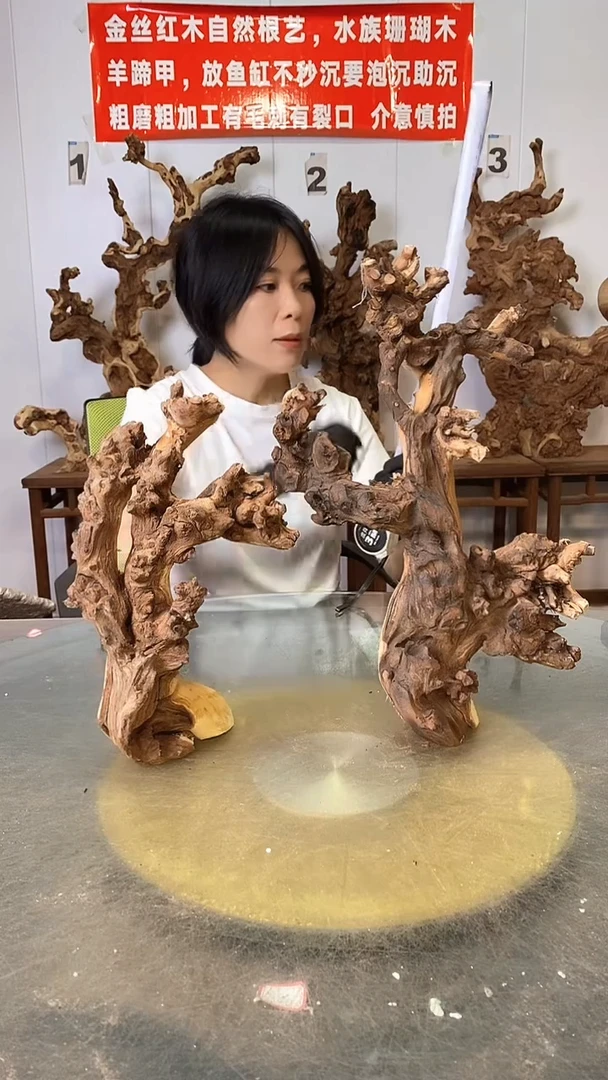 香榧木金丝红木  羊蹄甲