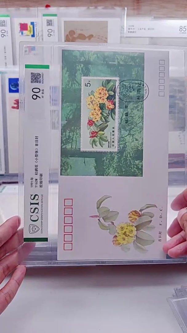 T162M杜鹃花  集总    邮票首日封