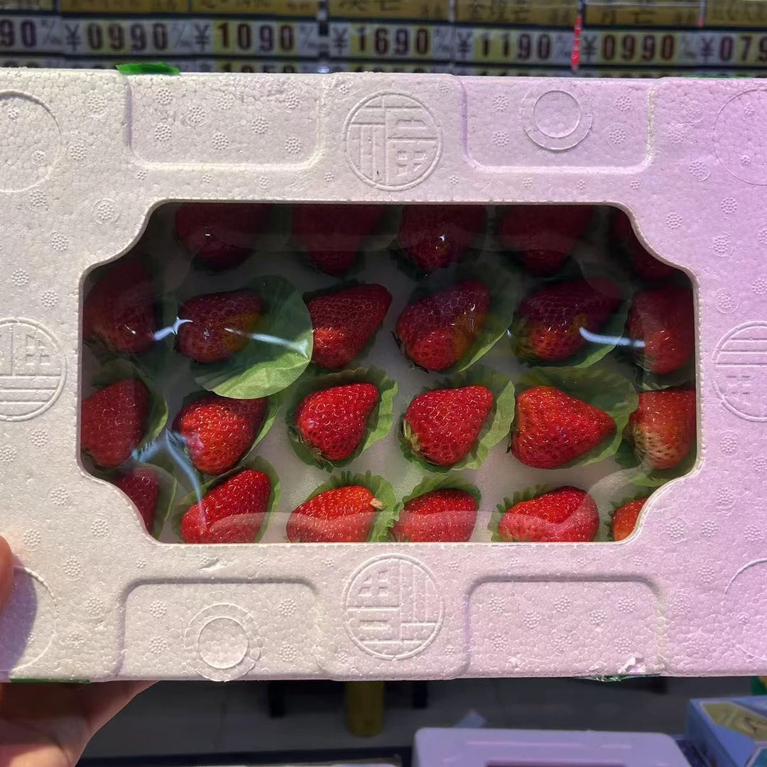 丹东九九草莓精品泡沫礼盒（水果）g