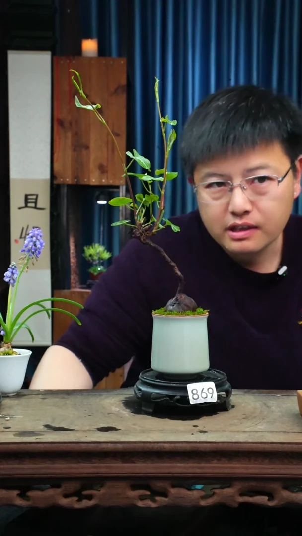 【闪购商品】苔藓微景观869号