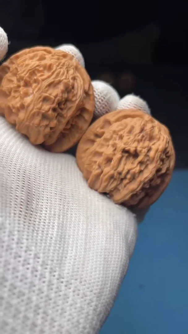 桃核把件a140  白狮子41尺