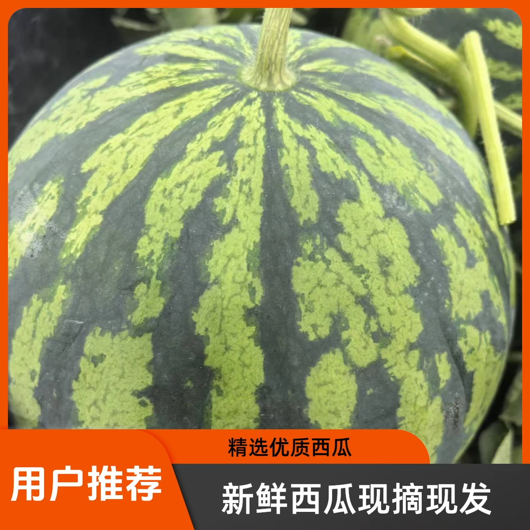 （8斤装）8424西瓜现摘当季新鲜皮薄脆甜多汁水果无籽冰糖薄皮