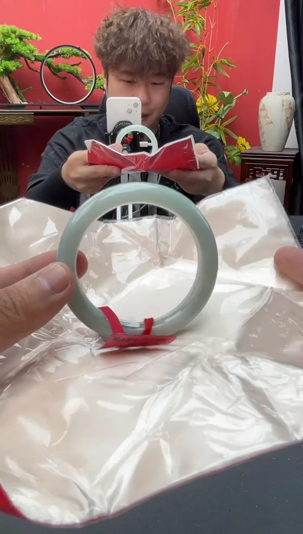 未镶嵌手镯翡翠3