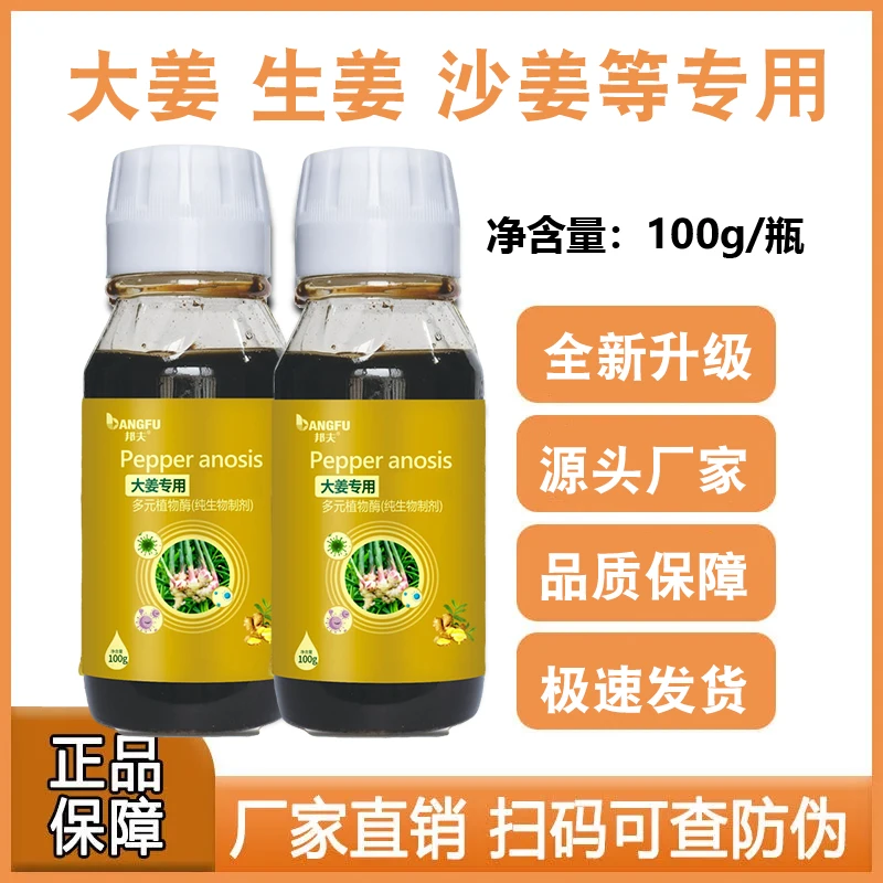 邦夫大姜生姜沙姜大肉姜南姜铜陵白姜面姜红姜种植专用多元植物酶