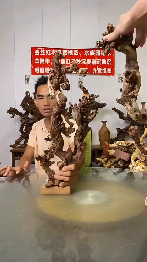香榧木可***子金丝红木   羊蹄甲