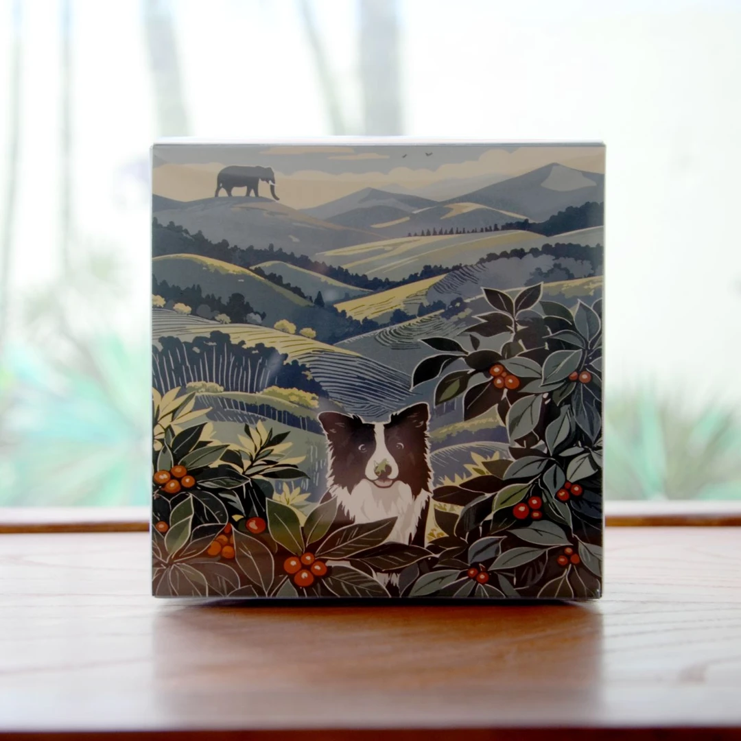 挂耳咖啡系列（水洗、日晒、湿刨、密处理）尝鲜装