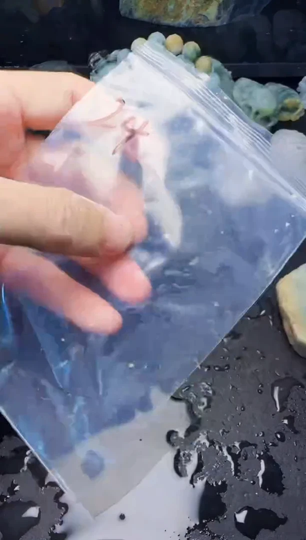 颈饰未镶嵌翡翠龚*大24