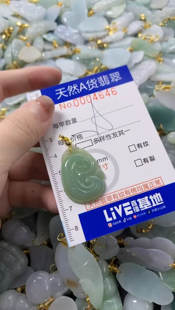 颈饰未镶嵌翡翠天然A货翡翠