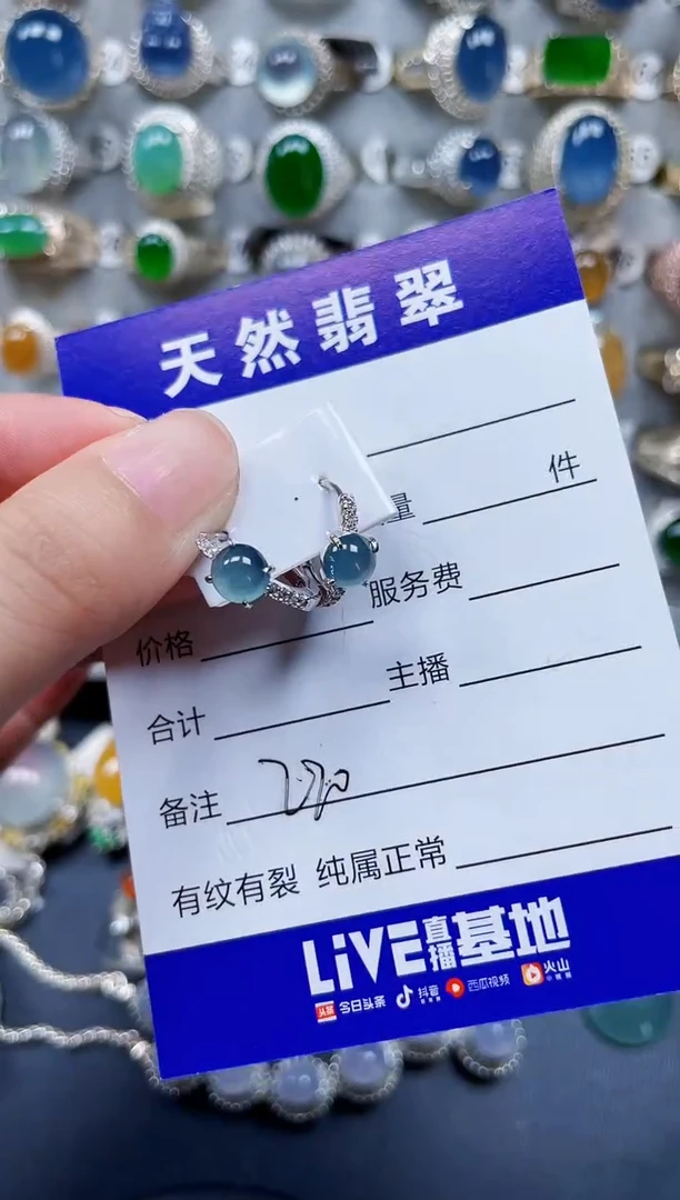 银S925镶嵌翡翠耳饰220