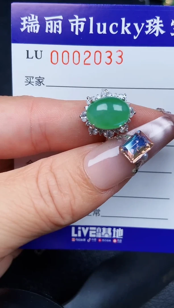 翡翠银S925镶嵌颈饰2033