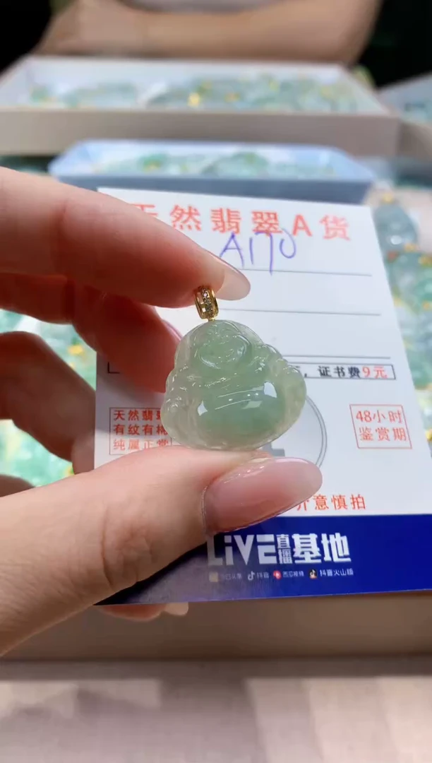 颈饰未镶嵌翡翠天然缅甸a货翡翠