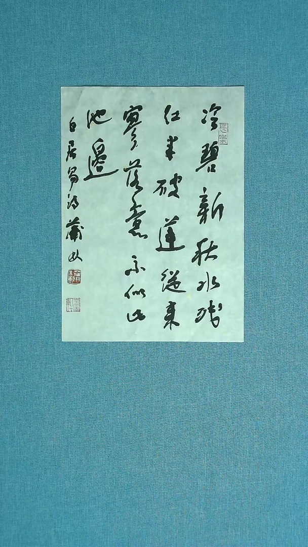 【闪购商品】书法048 甘肃蒲林中书协35*25