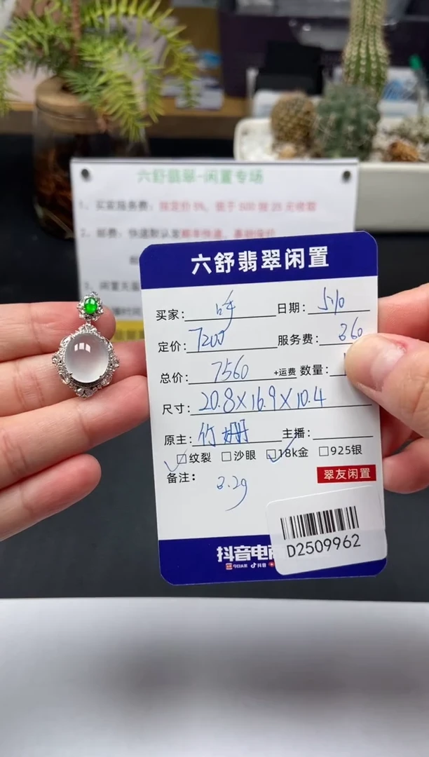 翡翠18K金镶嵌颈饰D2509962