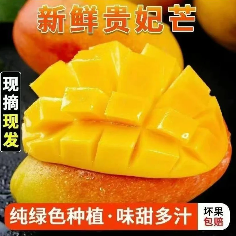万山【产地直发】广西百色新鲜贵妃芒果香甜多汁芒果 现摘现发