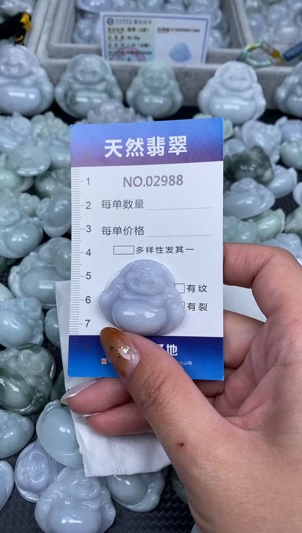 颈饰未镶嵌翡翠纯天然A货翡翠2988