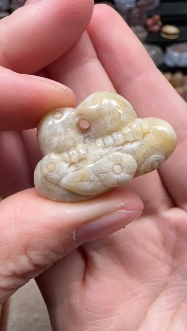 颈饰未镶嵌硅化珊瑚（珊瑚玉）251