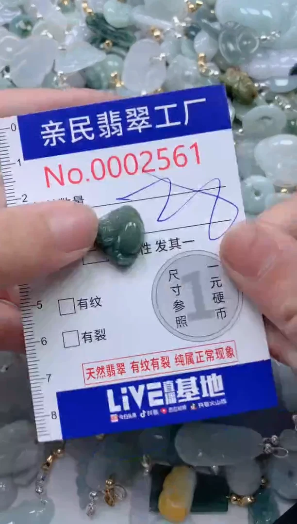 颈饰未镶嵌翡翠2561