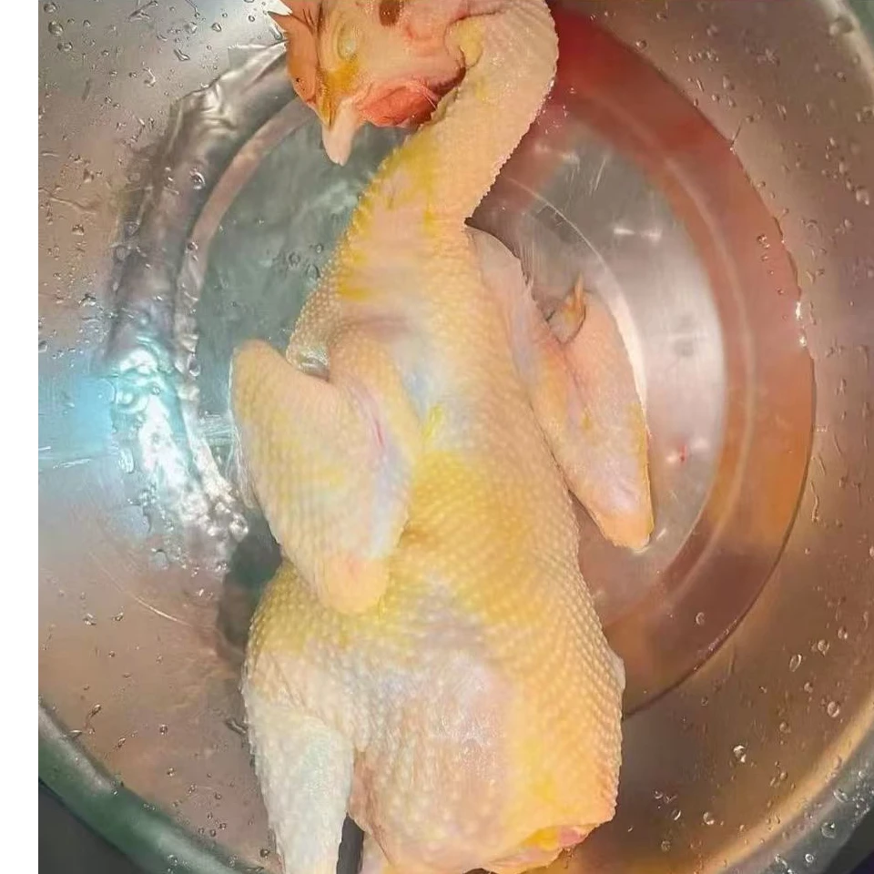 两年半生态散养五谷老母鸡孕妇产妇放心吃的放心煲汤营养健康