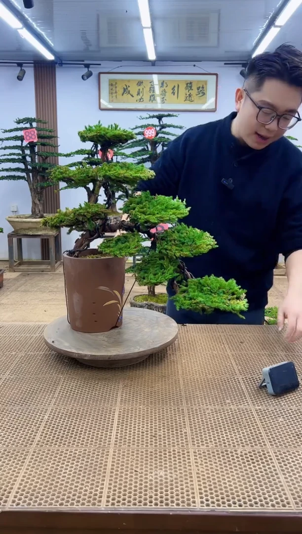 无花朵00000000000000