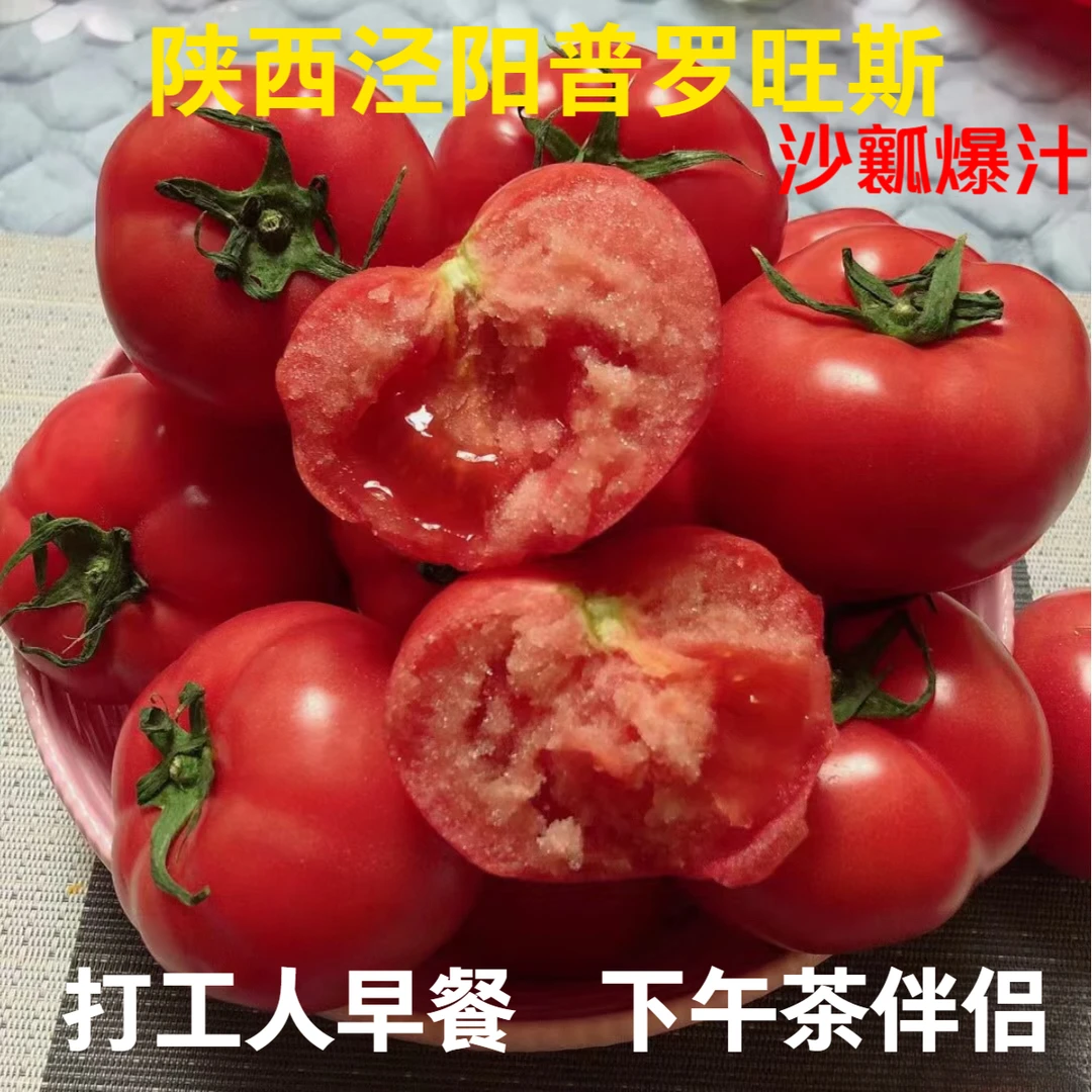 陕西泾阳普罗旺斯西红柿低卡爆汁番茄沙瓤高甜办公室健身轻食